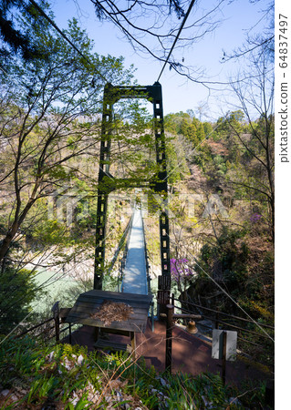 [Nagano Prefecture] Tenryukyo 64837497