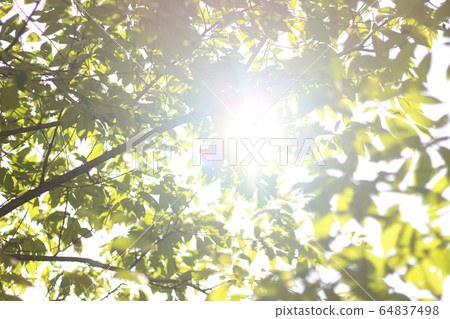 Direction Direction 64837498