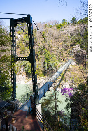 [長野縣]天龍峽 64837499