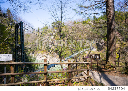 [Nagano Prefecture] Tenryukyo 64837504