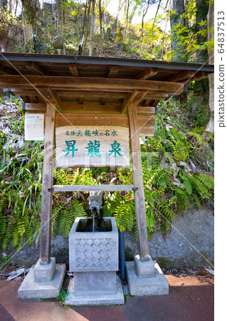 [Nagano Prefecture] Tenryukyo 64837513