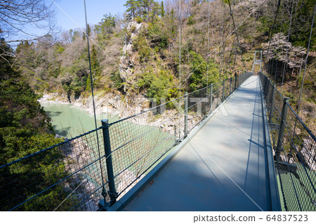 [Nagano Prefecture] Tenryukyo 64837523