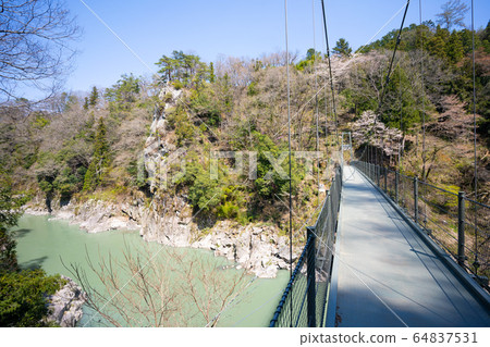 [Nagano Prefecture] Tenryukyo 64837531