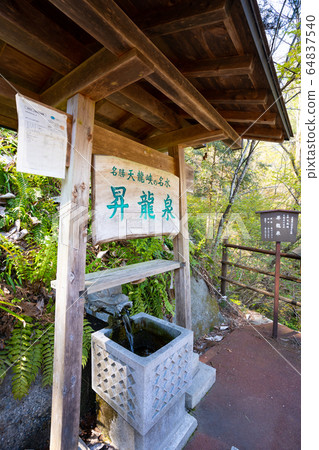 [Nagano Prefecture] Tenryukyo 64837540