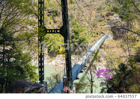 [長野縣]天龍峽 64837557