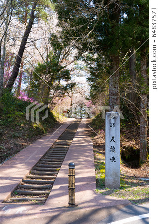 [長野縣]天龍峽 64837571