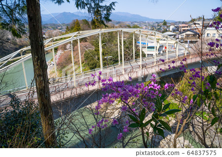 [Nagano Prefecture] Tenryukyo 64837575