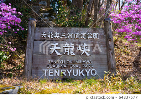 [Nagano Prefecture] Tenryukyo 64837577