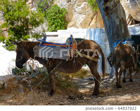 Hozoviotissa Monastery in Amorgos island, 64837822
