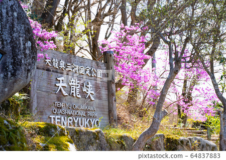 [Nagano Prefecture] Tenryukyo 64837883