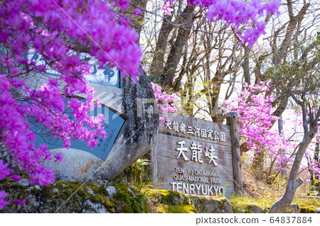 [長野縣]天龍峽 64837884