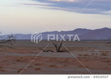 듄45, Namib, Namibia, Africa 듄45, Namib, Namibia, Africa 64838507