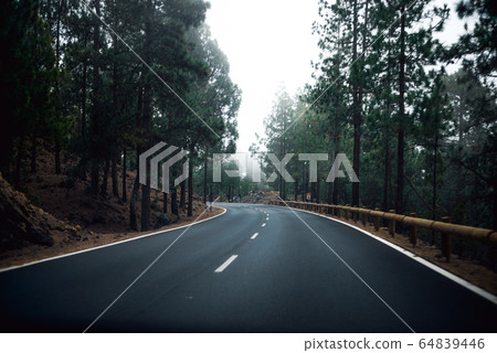 Empty road on the middle of the forest 64839446