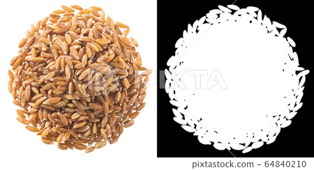 Spelt, farro, einkorn hulled wheat pile, paths, 64840210