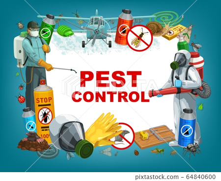 Deratization, insects disinsection pest control Deratization, insects disinsection pest control 64840600