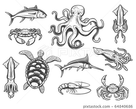 Underwater world icons, animals and fishes 64840686