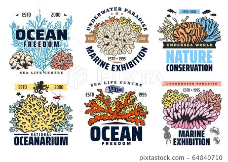 Exotic fishes oceanarium, marine world exhibition 64840710