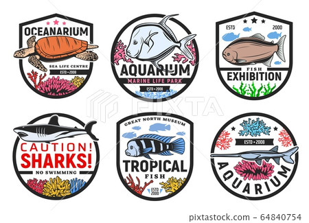 Exotic tropical sea fishes oceanarium exhibition 64840754