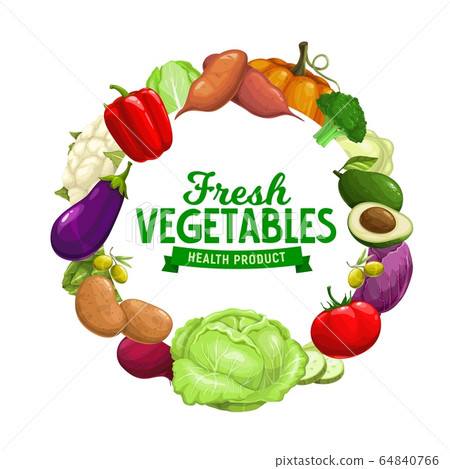 Healthy organic vegetables, farm garden harvest Healthy organic vegetables, farm garden harvest 64840766
