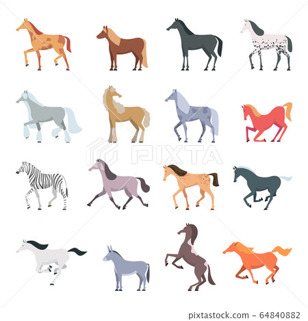 Horse breeds. Strong beautiful domestic animals in action poses jumping and walking pony vector set 64840882