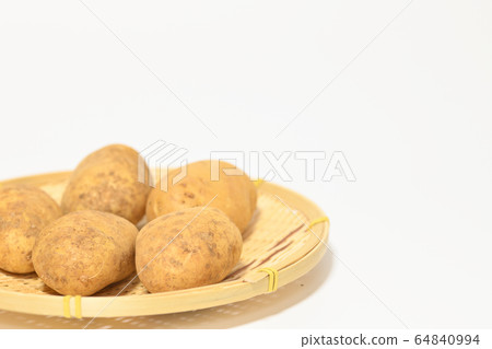 Potato Make-in Potato Make-in 64840994