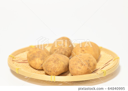 Potato Make-in Potato Make-in 64840995