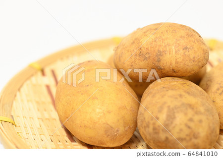 Potato Make-in 64841010