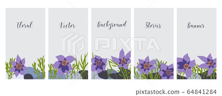 Social media banners set, spring flowers, flat colors, floral backgrounds with copy space for text, vector templates. Social media banners set, spring flowers, flat colors, floral backgrounds with copy space for text, vector templates. 64841284