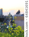Misato Riverbed scenery 64841691