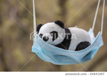 Soft toy panda and medical mask 64841997