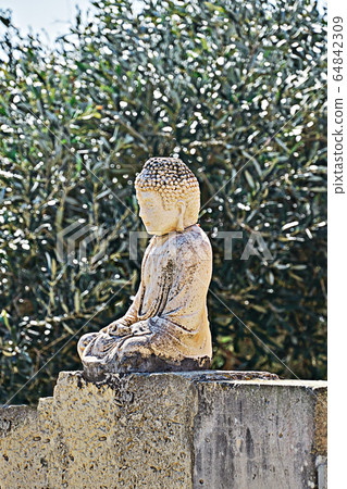 Vesak day is Buddha's Birthday. Little Buddha statue on fence in olive garden. 64842309