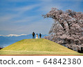 Southern Alps and Yatsushiro Furusato Park Koshu silkworm shadow cherry blossoms 64842380