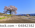 Cherry blossoms at Mizuka and Mt. Yatsugatake 64842382