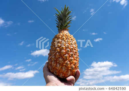 Aozora, a man with snack pine pineapple 64842590