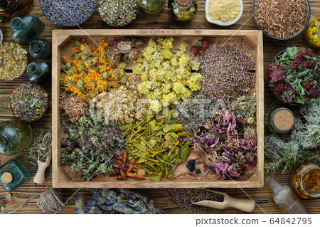 Medicinal herbs in wooden box, infusion bottles. Medicinal herbs in wooden box, infusion bottles. 64842795