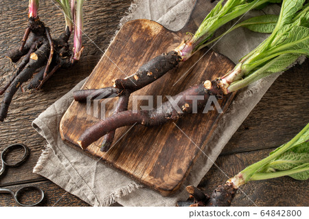 Comfrey root with young leaves collected in spring Comfrey root with young leaves collected in spring 64842800
