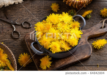 Fresh dandelion flowers in a pot on a table Fresh dandelion flowers in a pot on a table 64842804
