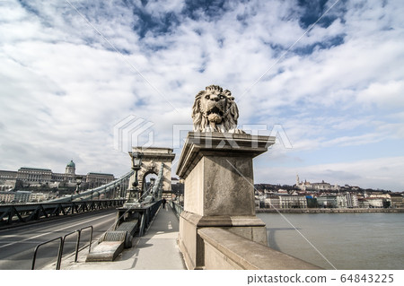 Lion on the Szechenyi Chain Bridge in Budapest, Hungary. 64843225