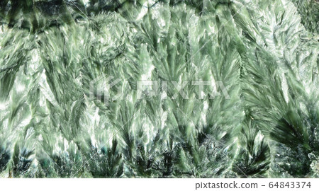 Green polished Seraphinite Green polished Seraphinite 64843374