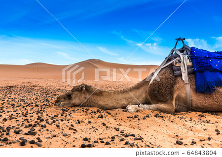 Merzouga in the Sahara Desert in Morocco 64843804