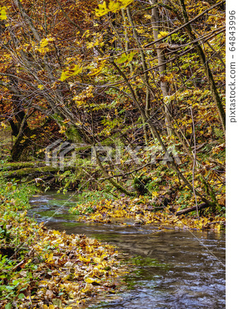 Autumn in Ojcow National Park, Poland 64843996