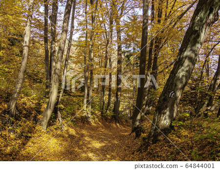 Autumn in Ojcow National Park, Poland 64844001