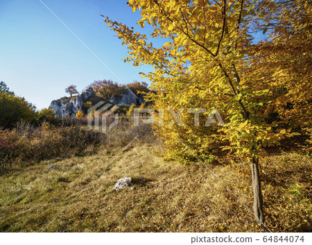 Rzedkowickie Rocks at Polish Jura 64844074