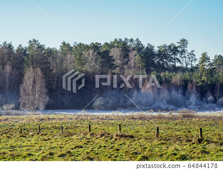 Morning Frost in Gorajec, Poland 64844178