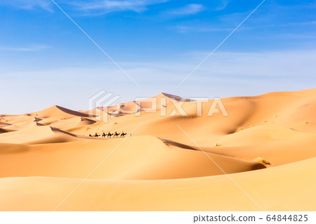 Merzouga in the Sahara Desert in Morocco 64844825