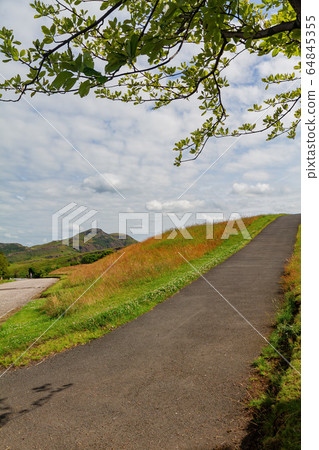 Morning sunny view of the Calton Hill area Morning sunny view of the Calton Hill area 64845355