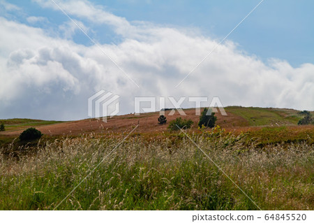 Beautiful natural landscape of Holyrood Park Beautiful natural landscape of Holyrood Park 64845520