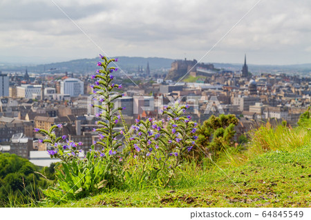 Beautiful natural landscape of Holyrood Park Beautiful natural landscape of Holyrood Park 64845549