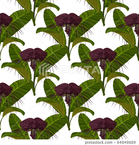 Dark purple Tacca flowers background. Tropical exotic plant seamless pattern. 64849889