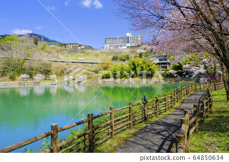 Lake Akaya promenade in spring 64850634